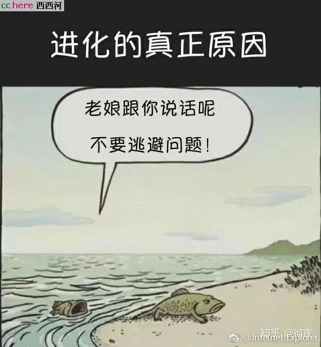 点看全图