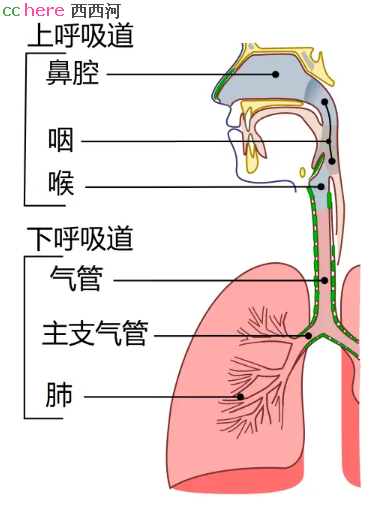 点看全图