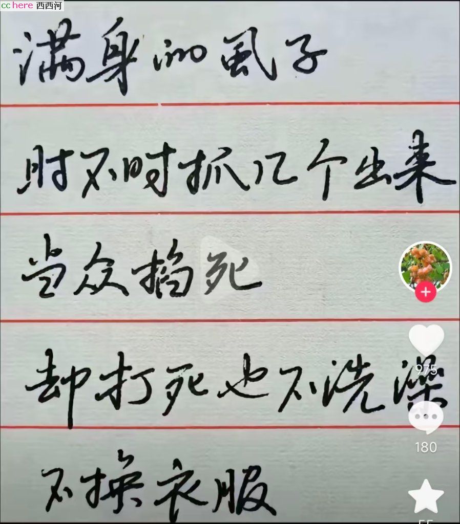 点看全图